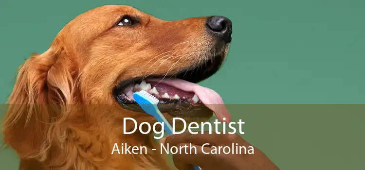 Dog Dentist Aiken - North Carolina