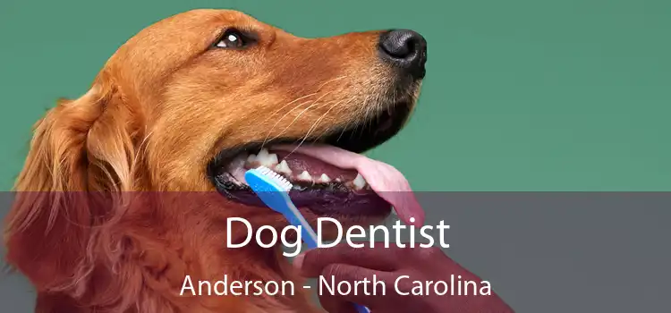 Dog Dentist Anderson - North Carolina