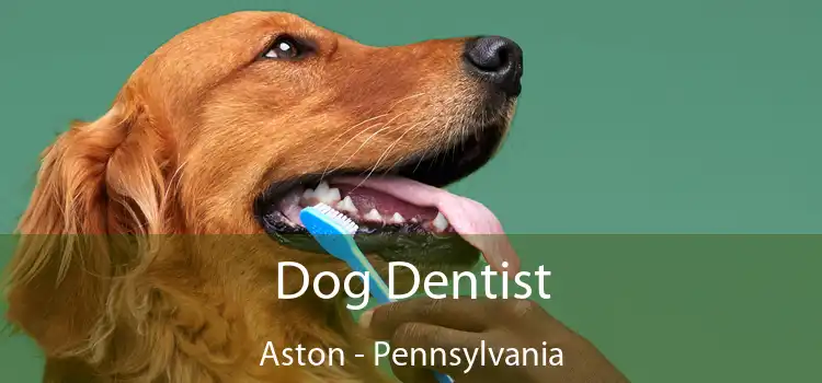 Dog Dentist Aston - Pennsylvania