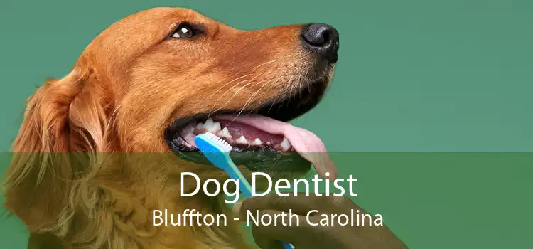 Dog Dentist Bluffton - North Carolina