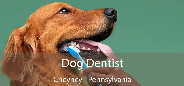 Dog Dentist Cheyney - Pennsylvania