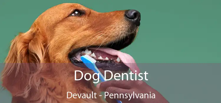 Dog Dentist Devault - Pennsylvania