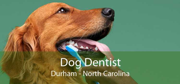 Dog Dentist Durham - North Carolina