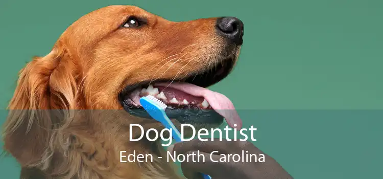 Dog Dentist Eden - North Carolina