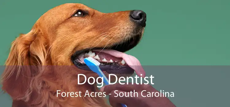 Dog Dentist Forest Acres - South Carolina