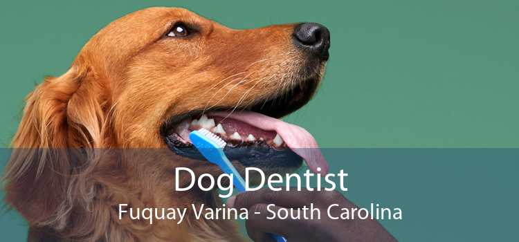 Dog Dentist Fuquay Varina - South Carolina