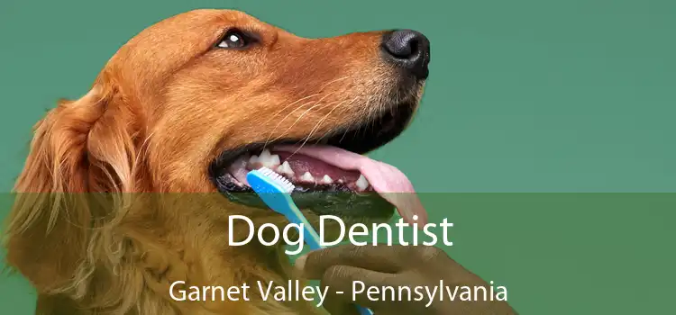 Dog Dentist Garnet Valley - Pennsylvania