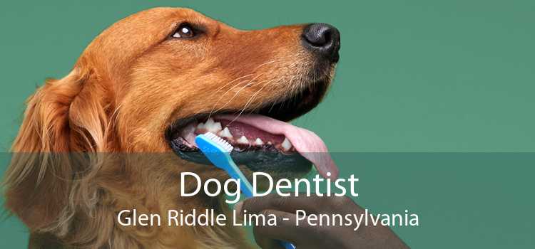 Dog Dentist Glen Riddle Lima - Pennsylvania