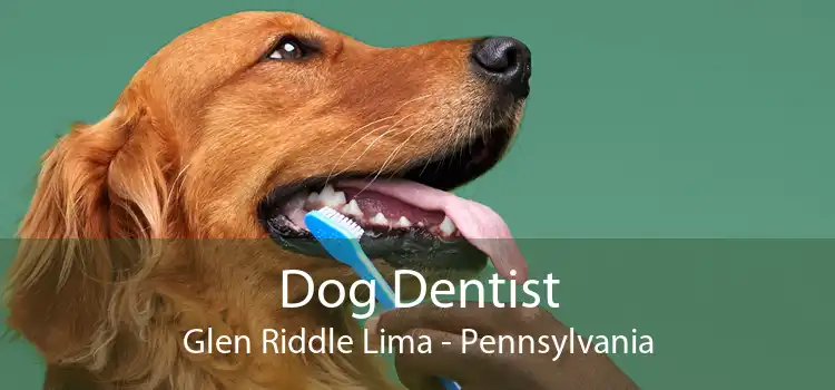 Dog Dentist Glen Riddle Lima - Pennsylvania