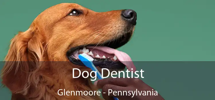 Dog Dentist Glenmoore - Pennsylvania