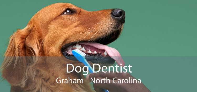 Dog Dentist Graham - North Carolina