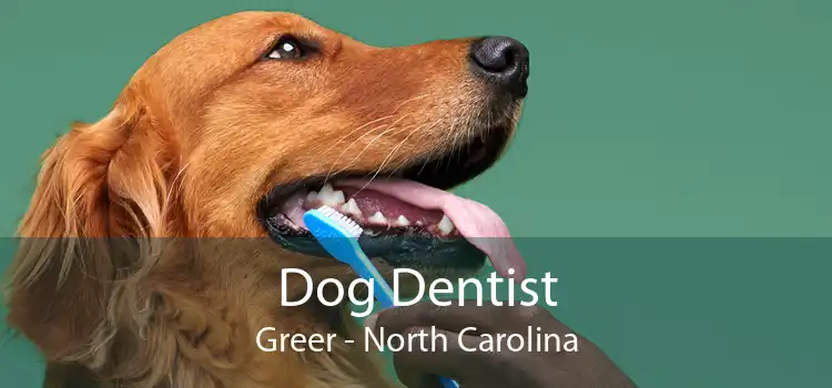 Dog Dentist Greer - North Carolina