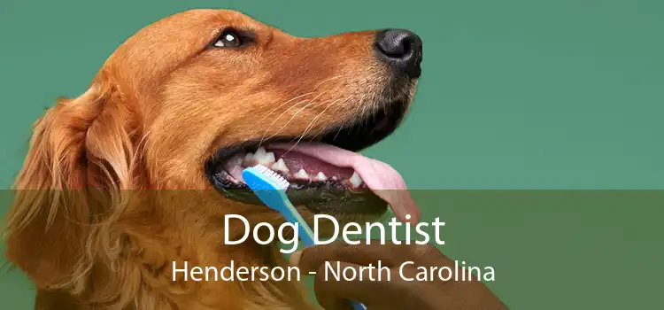Dog Dentist Henderson - North Carolina