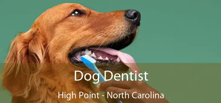 Dog Dentist High Point - North Carolina