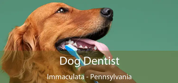 Dog Dentist Immaculata - Pennsylvania
