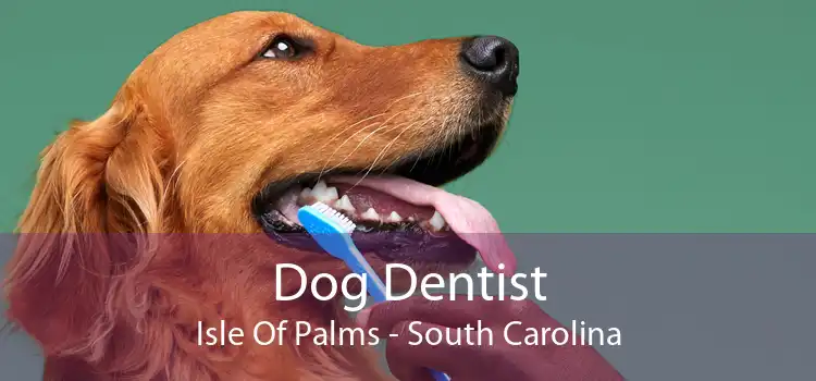 Dog Dentist Isle Of Palms - South Carolina
