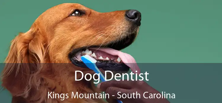 Dog Dentist Kings Mountain - South Carolina