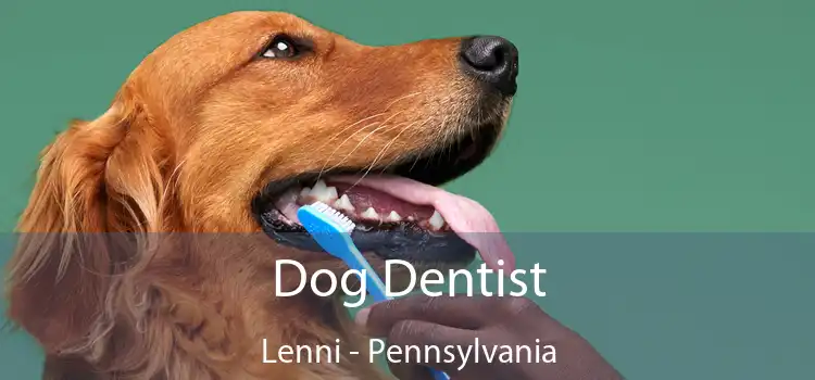 Dog Dentist Lenni - Pennsylvania