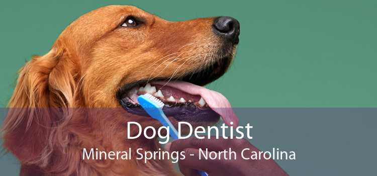Dog Dentist Mineral Springs - North Carolina