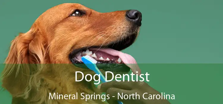 Dog Dentist Mineral Springs - North Carolina