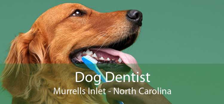 Dog Dentist Murrells Inlet - North Carolina
