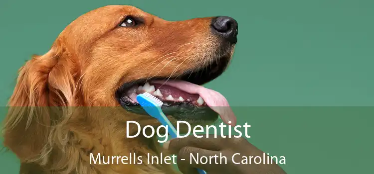 Dog Dentist Murrells Inlet - North Carolina