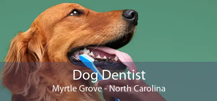 Dog Dentist Myrtle Grove - North Carolina