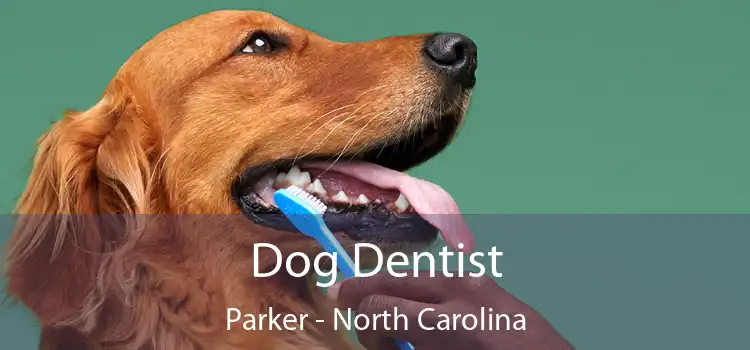 Dog Dentist Parker - North Carolina