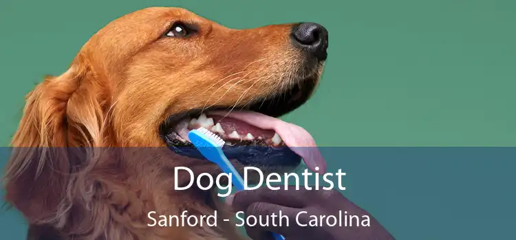 Dog Dentist Sanford - South Carolina