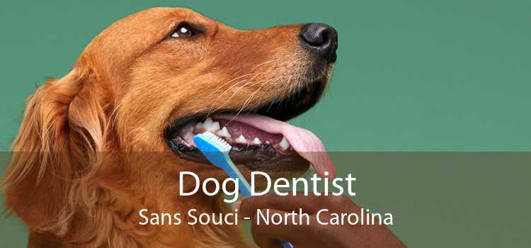 Dog Dentist Sans Souci - North Carolina