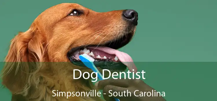Dog Dentist Simpsonville - South Carolina