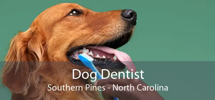 Dog Dentist Southern Pines - North Carolina