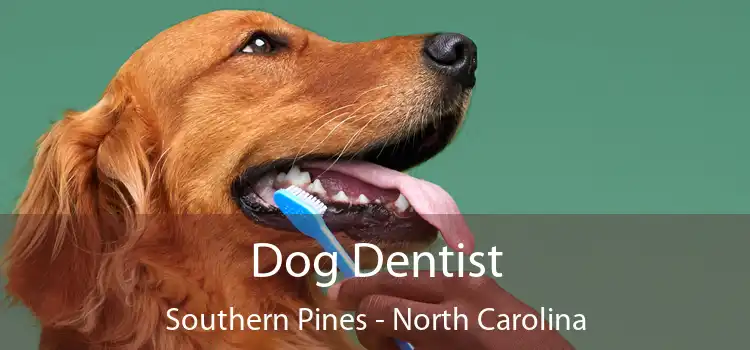 Dog Dentist Southern Pines - North Carolina