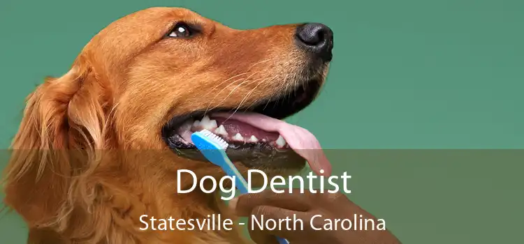 Dog Dentist Statesville - North Carolina