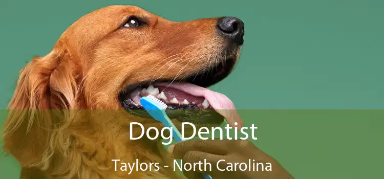 Dog Dentist Taylors - North Carolina