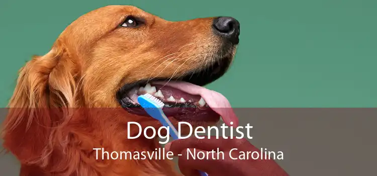 Dog Dentist Thomasville - North Carolina