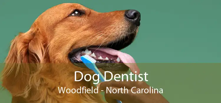 Dog Dentist Woodfield - North Carolina