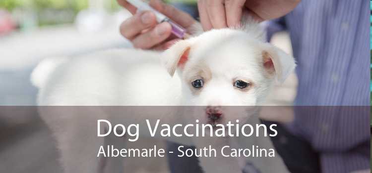 Dog Vaccinations Albemarle - South Carolina