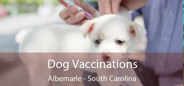 Dog Vaccinations Albemarle - South Carolina