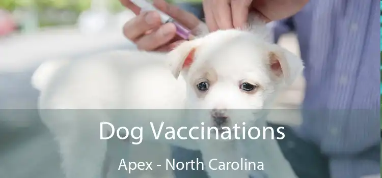 Dog Vaccinations Apex - North Carolina