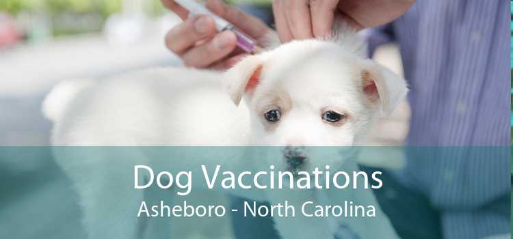 Dog Vaccinations Asheboro - North Carolina