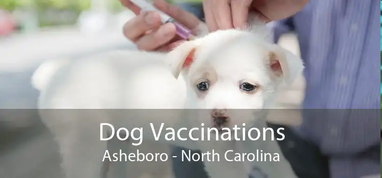 Dog Vaccinations Asheboro - North Carolina