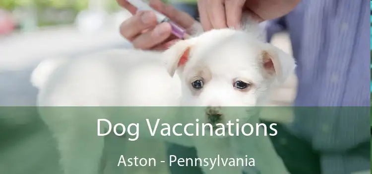 Dog Vaccinations Aston - Pennsylvania
