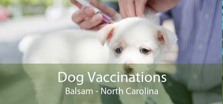 Dog Vaccinations Balsam - North Carolina