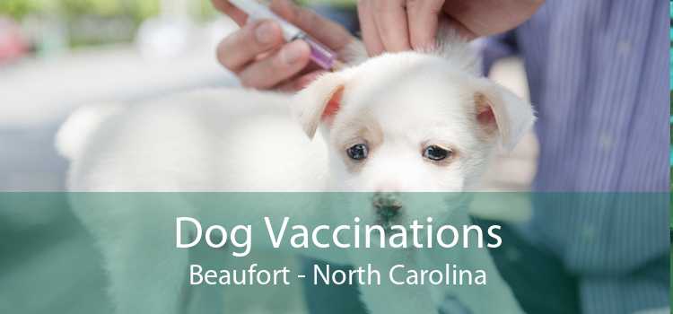 Dog Vaccinations Beaufort - North Carolina