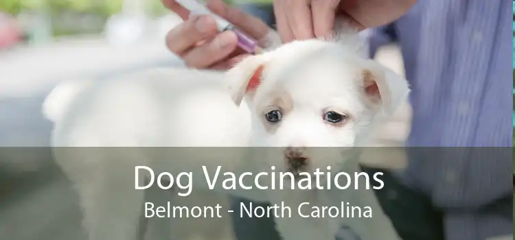 Dog Vaccinations Belmont - North Carolina