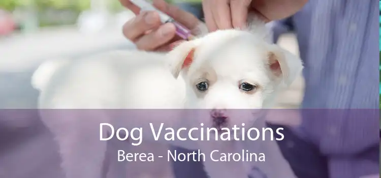 Dog Vaccinations Berea - North Carolina