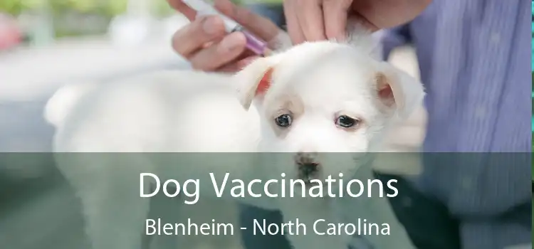 Dog Vaccinations Blenheim - North Carolina