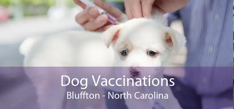 Dog Vaccinations Bluffton - North Carolina