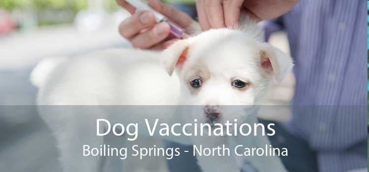 Dog Vaccinations Boiling Springs - North Carolina